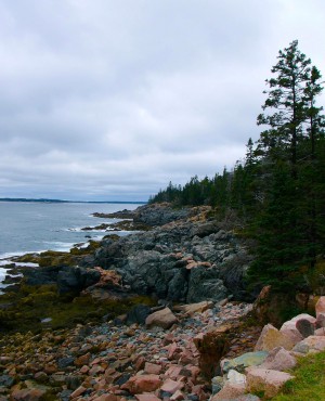 East Coast Shore